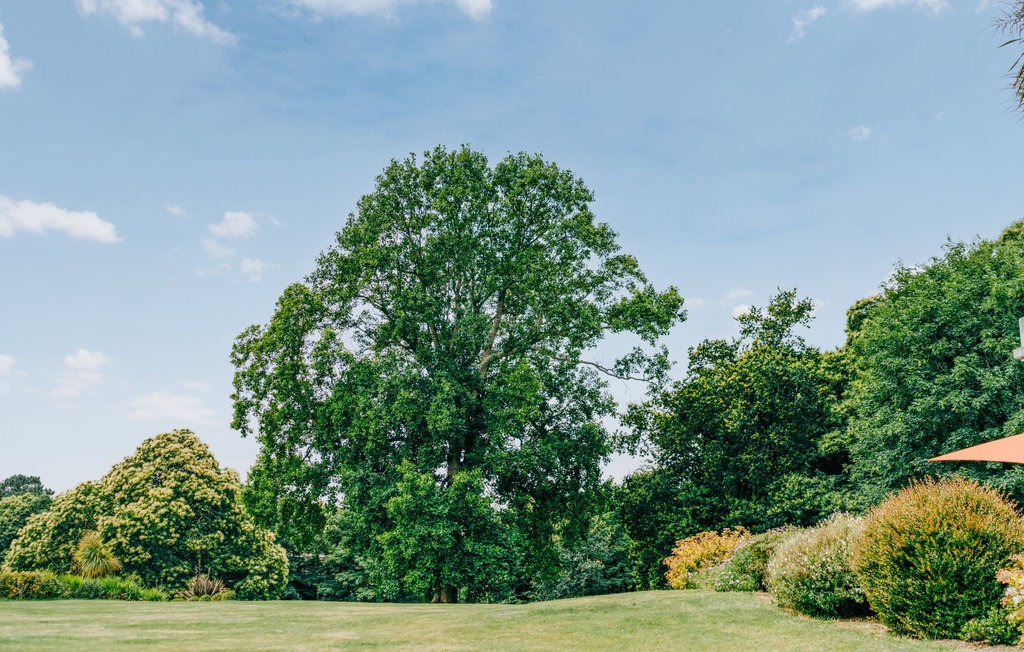 Arbres centenaires et parc de 7 hectares du domaine