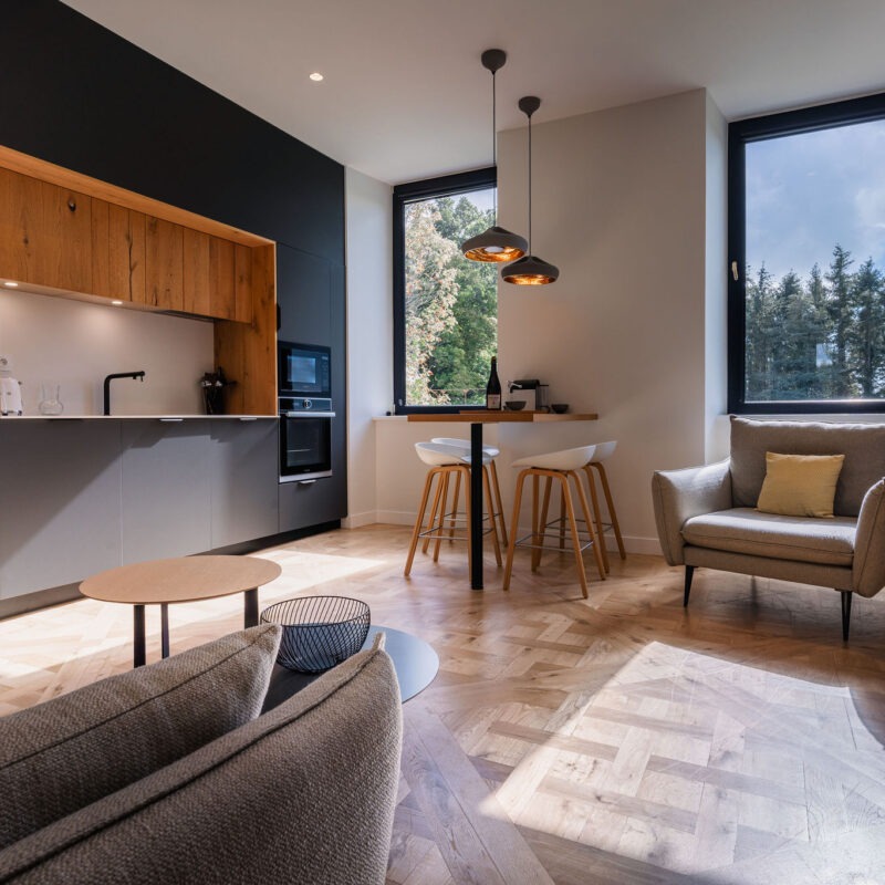 Salon moderne avec cuisine équipée dans l’appartement La Fée de l’Aulne au Domaine de Stang Bihan.